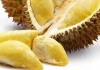Mengenal Spesies Durian