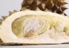 Sentra Produksi Durian di Dunia