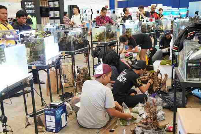 Indonesia siap merajai pasar ikan hias dunia