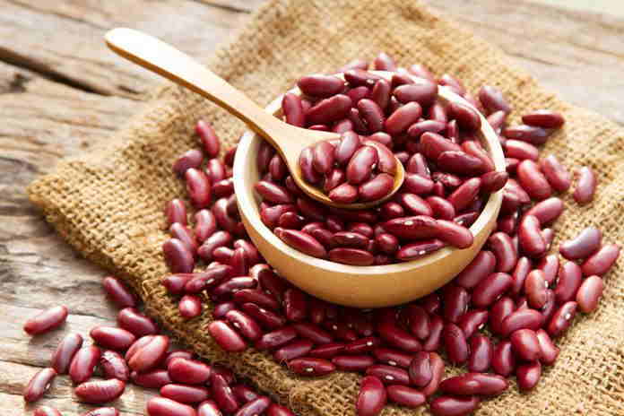 manfaat kacang merah