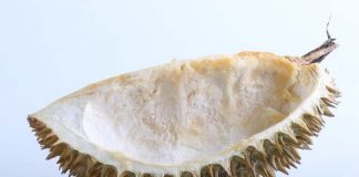 fakta unik kulit durian