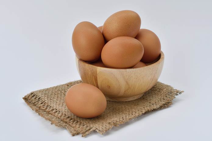 mitos dan fakta telur