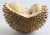 kandungan gizi durian