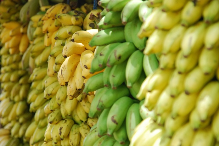 pisang kepok
