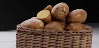 varietas kentang