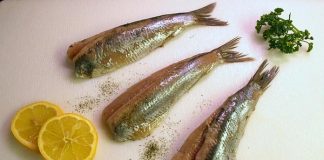 ikan herring