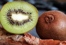 kulit buah kiwi